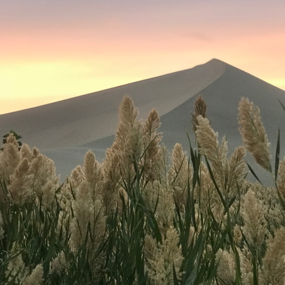 Meet your Posher, Kate - Picture 1 of 1